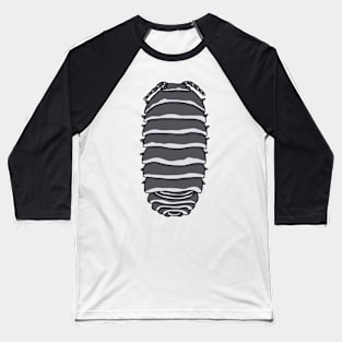 zebra armadillidium species Baseball T-Shirt